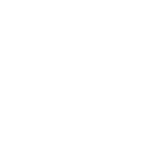 Celine logo